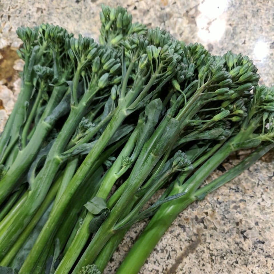 image 1 of Tenderette F1 Broccoli Seeds - Chinese Kale Hybrid Hardy Sweet Florets & Stems 2-3 Harvests/Month