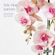 image 3 of Homescapes Pink Orchid 64 cm Phalaenopsis in Cement Pot Extra Large, 3 Stems