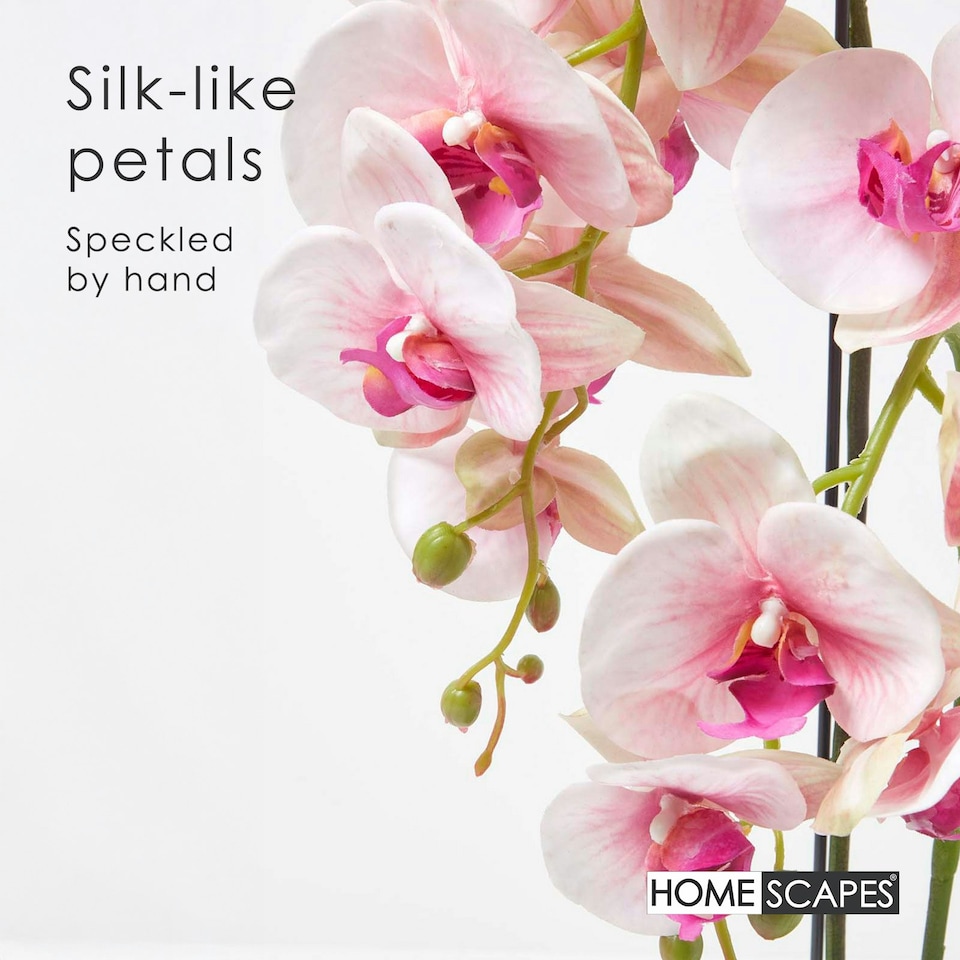 image 1 of Homescapes Pink Orchid 64 cm Phalaenopsis in Cement Pot Extra Large, 3 Stems