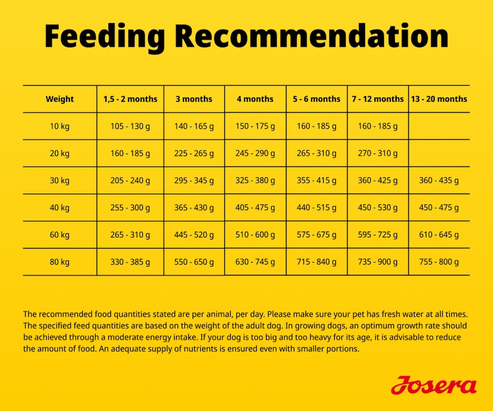 image 1 of Josera Junior Kids complete puppy food | Gluten-free | Medium & large breeds | Lots of meat | Optimal development | Omega 3 from Salmon Oil | 2x12.5kg pack