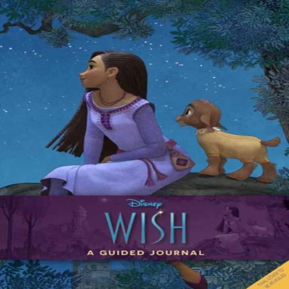 Disney Wish A Guided Wishing Journal