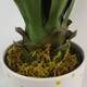 image 6 of 55cm Artificial Yucca Plant | Green | One Size