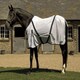 image 3 of Rhinegold Fly Rug With Neck Cover White | Colour: Zebra
Size: 6ft 6