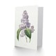 image 2 of Pierre-Joseph Redouté Art Card Lilac Vintage Floral Illustration