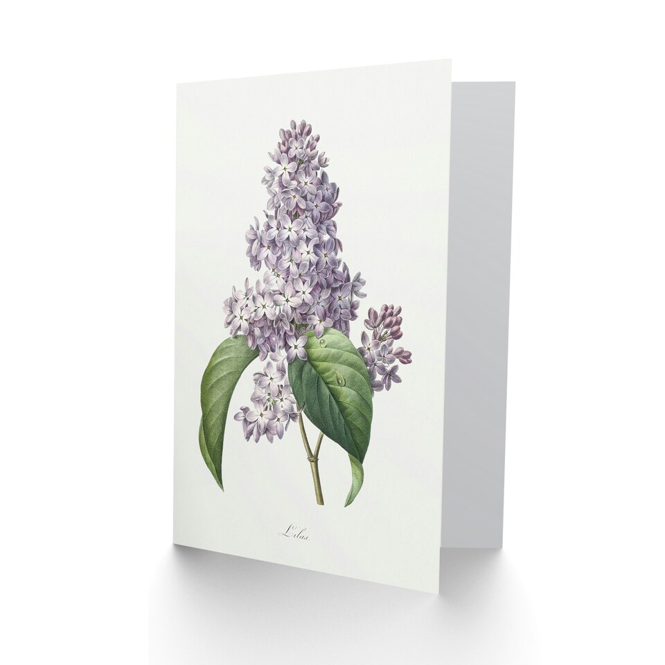 image 1 of Pierre-Joseph Redouté Art Card Lilac Vintage Floral Illustration