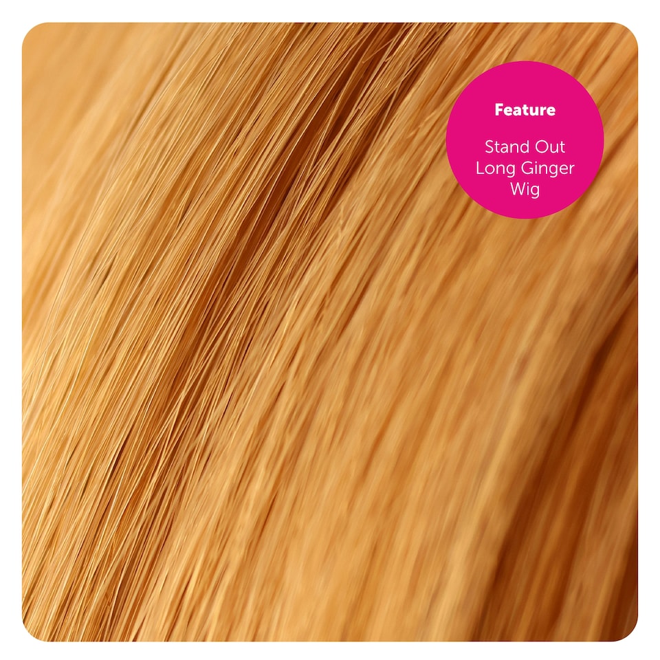 image 1 of Long Ginger Rocker Wig – 80s Rockstar Fancy Dress Hairpiece for Adult N/A | One Size
