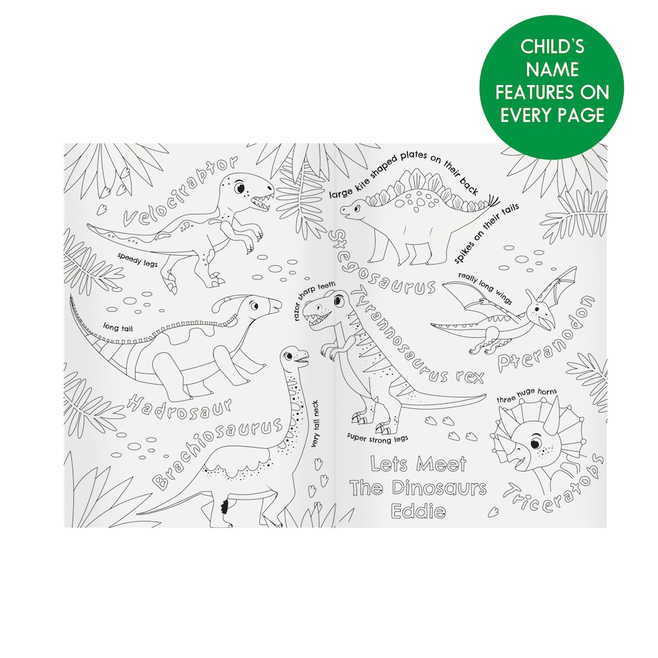 image 1 of Personalised Dinosaur Colouring Book Multi
