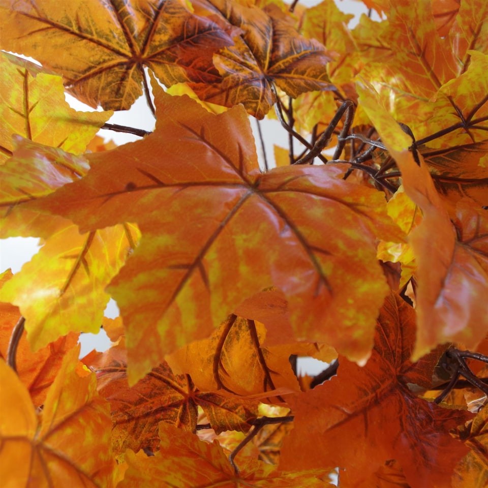 image 1 of Artificial 125cm Extra Large Artificial Autumn Maple Acer Tree | Orange | 4ft
