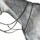 image 1 of Collegiate Leather Running Martingale IV - Brown - Pony
