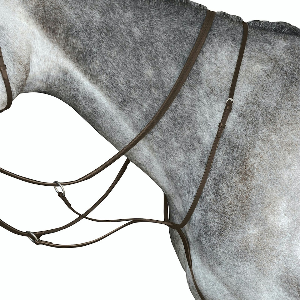 image 1 of Collegiate Leather Running Martingale IV - Brown - Pony