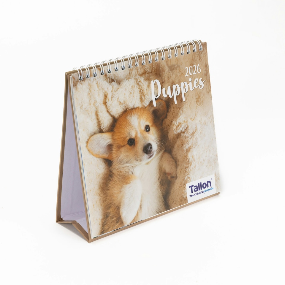 image 1 of 2026 Desk Calendar Puppies Design