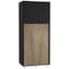 Black with Oak Doors