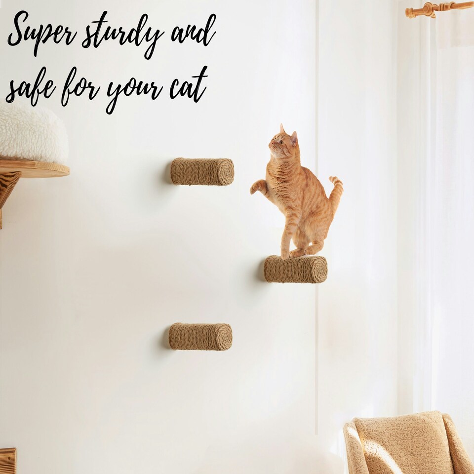 image 1 of NOVECRAFTO Round Cat Wall Steps – Set of Solid Wood Wall-Mounted Shelves – Durable Climbing Steps & Bridge Platforms – Cat Wall Furniture