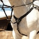 image 2 of Rhinegold V Check Elasticated Breastplate Brown | Size: Cob
Colour: H.Brown