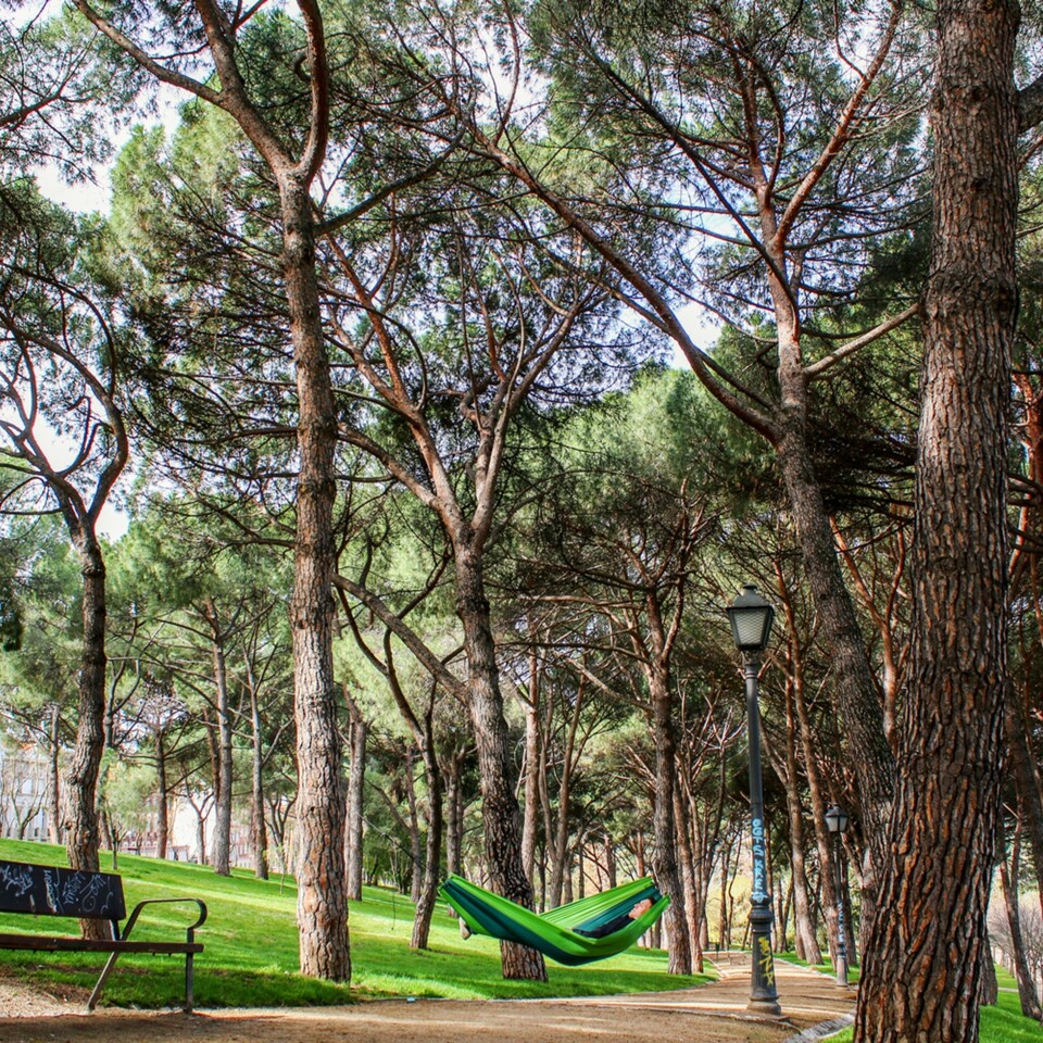 image 1 of Amazonas Ultralight Camping Hammock – Silk Traveller Forest