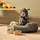 image 7 of Senior Lamb & Butternut Squash Wet Dog Food (18x395g)