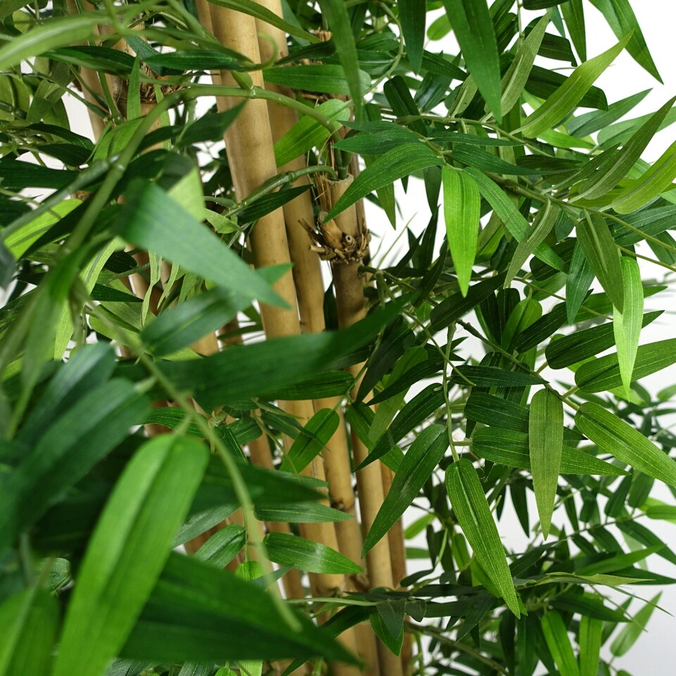 image 1 of Artificial Oriental Bamboo Plant 150cm - Realistic plant by Botanik Green | One Size
