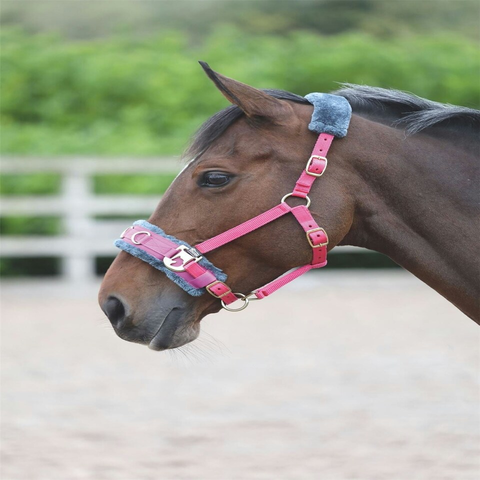 image 1 of Shires Fleece Lined Lunge Cavesson Blue | Size: Cob
Colour: Navy Blue