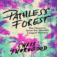 Pathless Forest