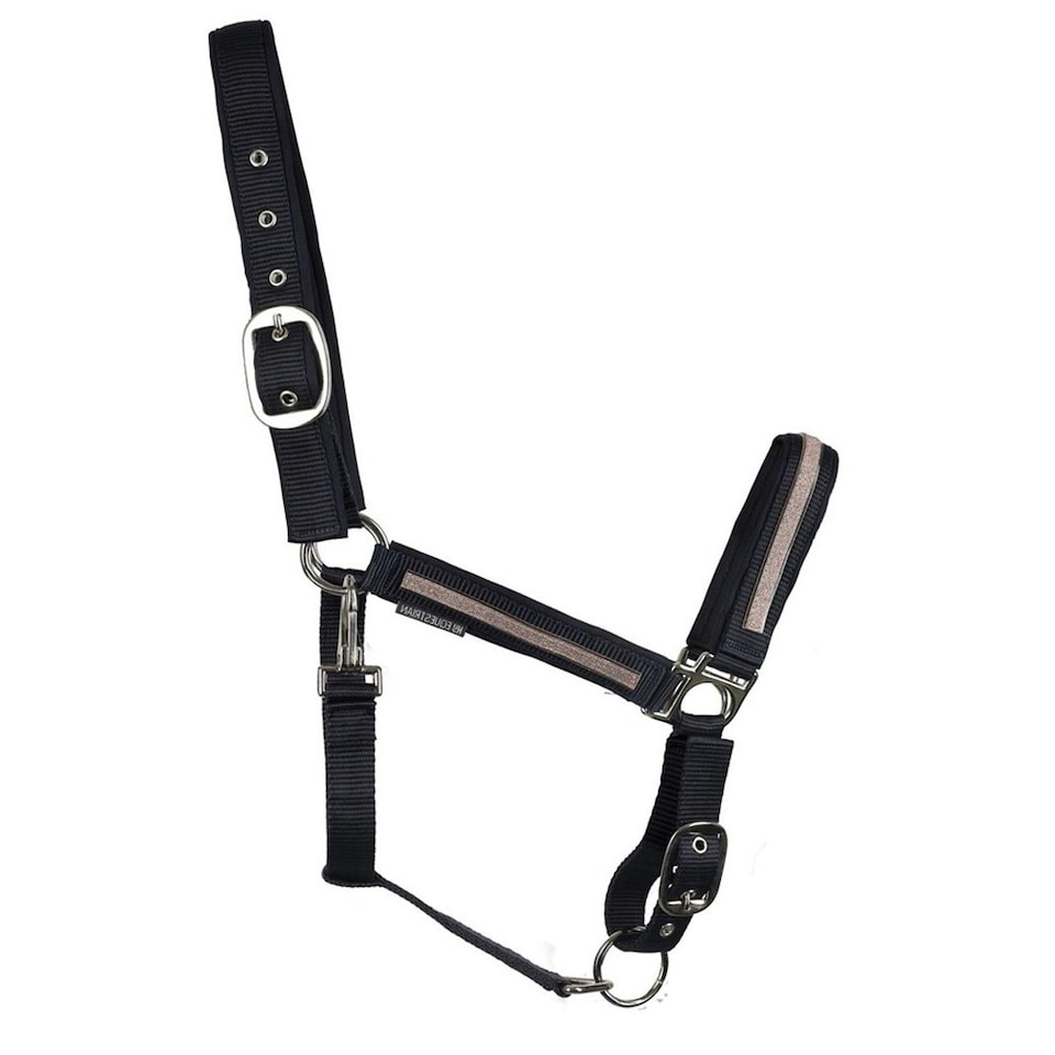 image 1 of Hy Mystic Horse Headcollar - Navy/Rose Dust - Full