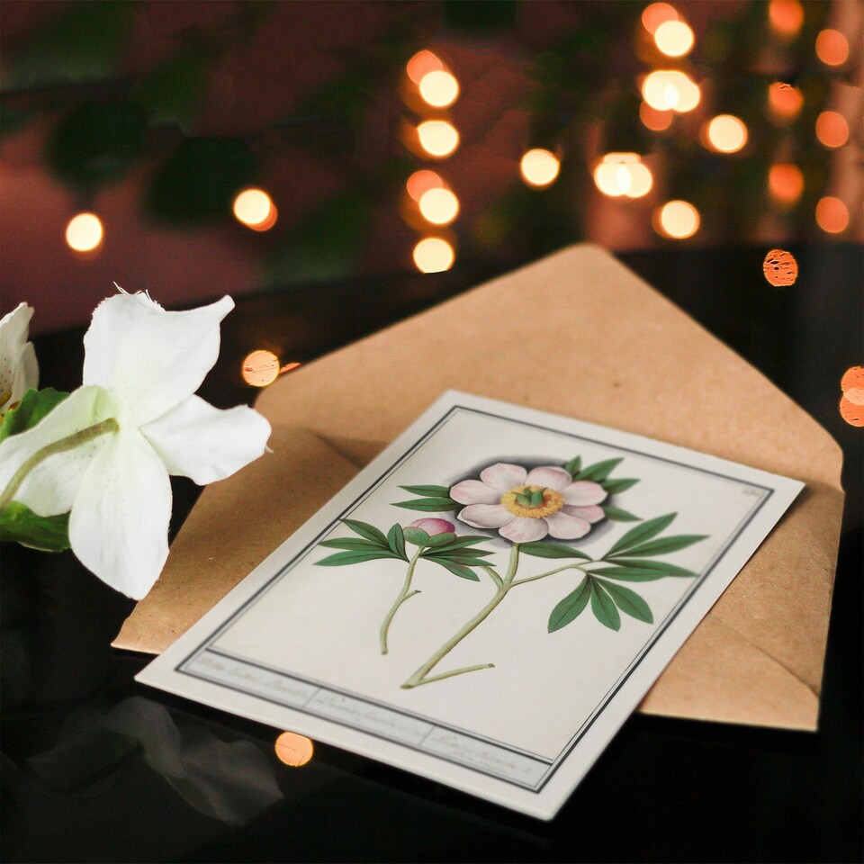 image 1 of Anselmus de Boodt Art Card Blooming Peony Flower Study