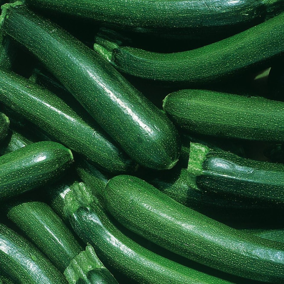 Courgette Defender F1 Hybrid 1 Seed Packet (12 Seeds) - Tesco Groceries