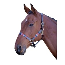 Blenheim Leather Polo Horse Headcollar - Red/Navy - Pony