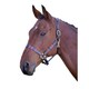 image 1 of Blenheim Leather Polo Horse Headcollar - Red/Navy - Pony