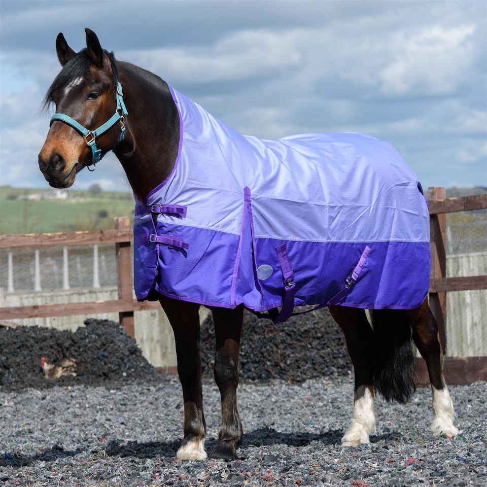 image 1 of eQuitack 600D Waterproof Horse Turnout Rug 0g No Fill Half Neck Lavender/Purple 5'9''