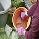 image 2 of Clever Pots Plant Pot Reservoir Reduces Water Waste 30Cm
