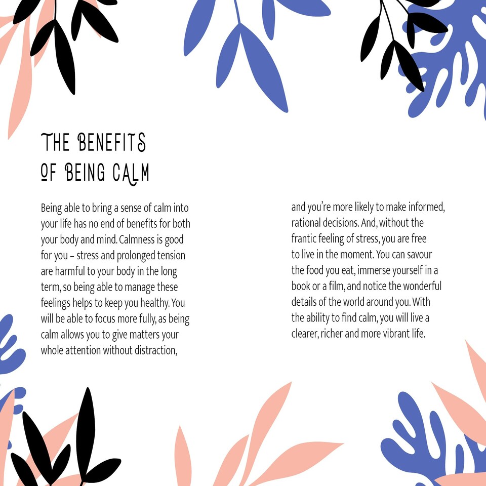 image 1 of Calm for Everyday