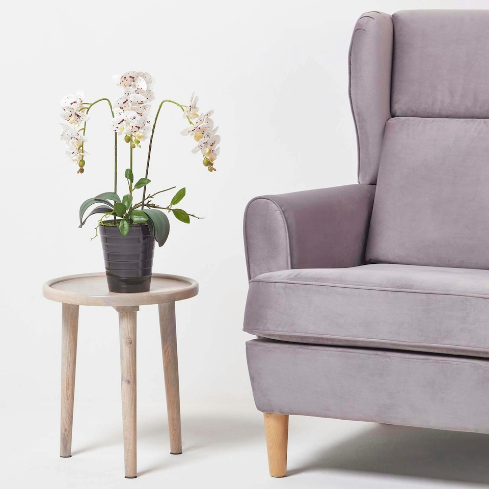 image 1 of Homescapes White Orchid 56 cm Phalaenopsis in Ceramic Pot