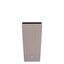 Beige & Set of 1 - Selected