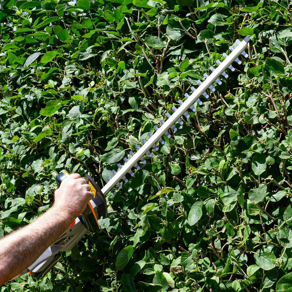 image 1 of Terratek 20V Cordless Hedge Trimmer 1 Battery & 1 Charger | Grey | Grey | 1