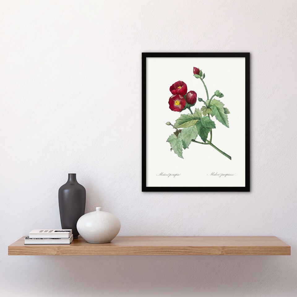 image 1 of Callirhoe Poppy Mallow Flower Redoute Vintage Framed Wall Art Print 12X16"