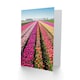 image 2 of Pink Tulip Fields Holland Floral Birthday Him Her Card