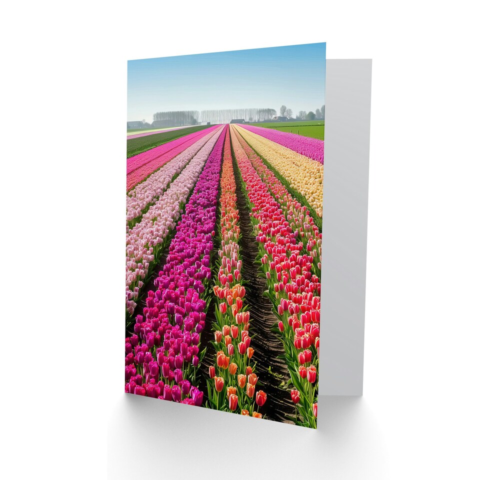 image 1 of Pink Tulip Fields Holland Floral Birthday Him Her Card