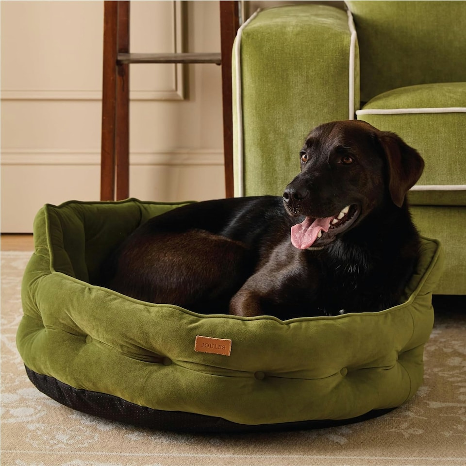 image 1 of Joules Khaki Chesterfield Luxury Dog Bed - Large Green | One Size