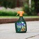 image 2 of Resolva Xtra Clean and Path and Drive Weedkiller Bundle | Green | Green | 2 x 5L Power Pump