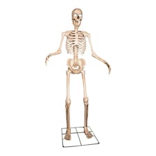 GIANT 8ft (240cm) Standing Indoor Outdoor Animatronic Halloween Skeleton Decoration