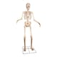 image 1 of GIANT 8ft (240cm) Standing Indoor Outdoor Animatronic Halloween Skeleton Decoration