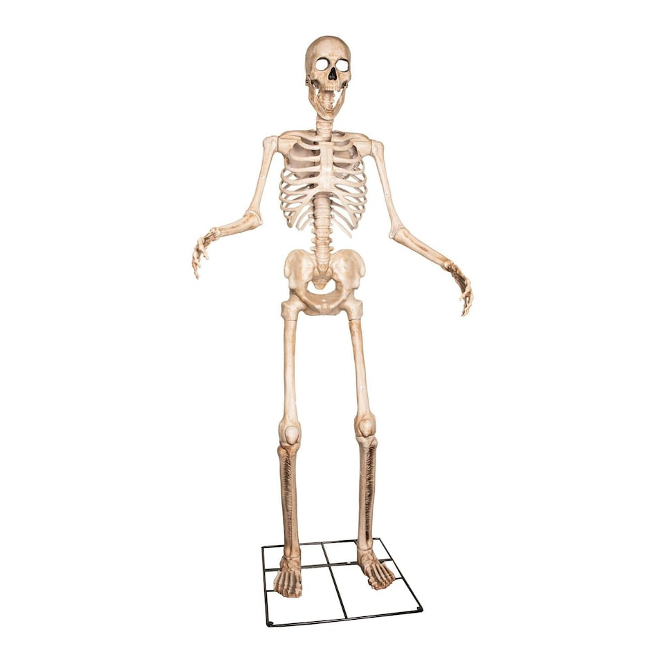 image 1 of GIANT 8ft (240cm) Standing Indoor Outdoor Animatronic Halloween Skeleton Decoration