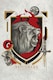 image 1 of Harry Potter Gryffindor Illustrative 61 x 91.5cm Maxi Poster