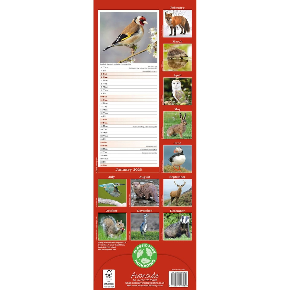 image 1 of British Wildlife 2026 Calendar | Slimline Wall Calendar | Animal & Wildlife Gift | Plastic Free Packaging | Avonside Publishing Ltd