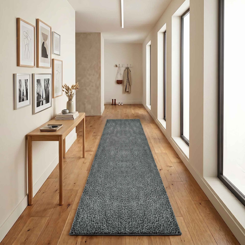 image 1 of Desire Rugs Ainsley Plain Living Room Shaggy Area Rug