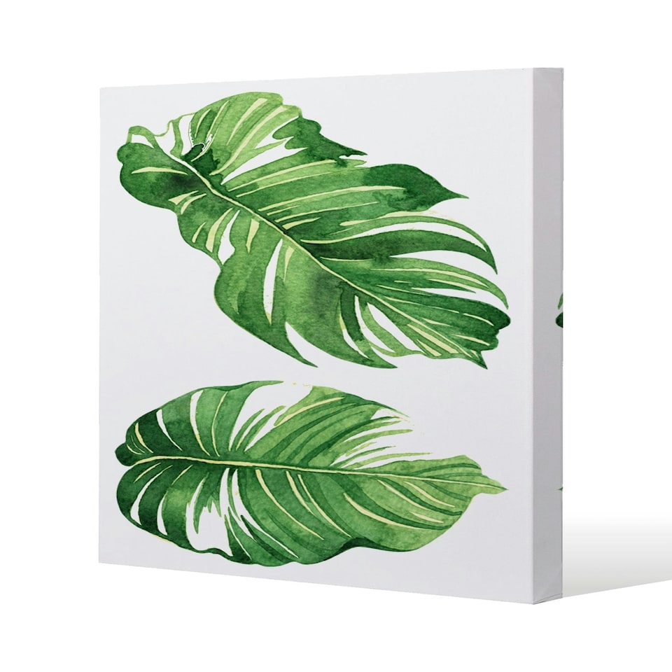 image 1 of Twin Botanical Leaves (Canvas Print) 61 x 61 x 4cm
