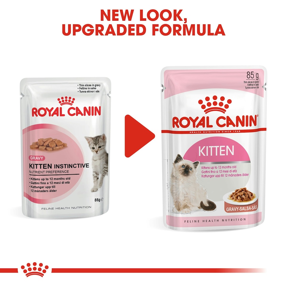 image 1 of ROYAL CANIN® Kitten Wet Food N/A | Texture: Jelly
Size: 12 x 85g