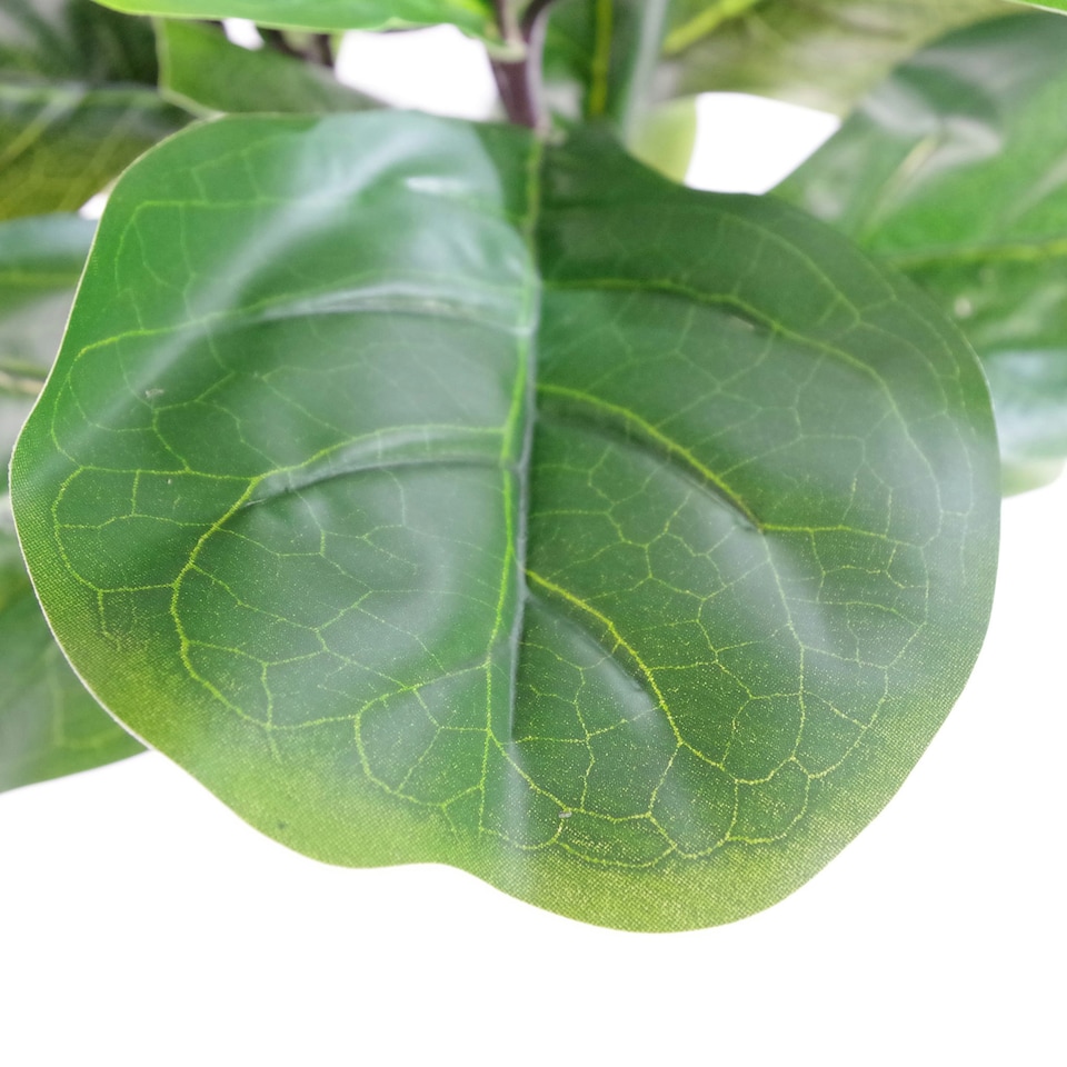 image 1 of 120cm (4ft) Large Artificial Fiddle Fig Tree Ficus Lyrata Plant Green | One Size