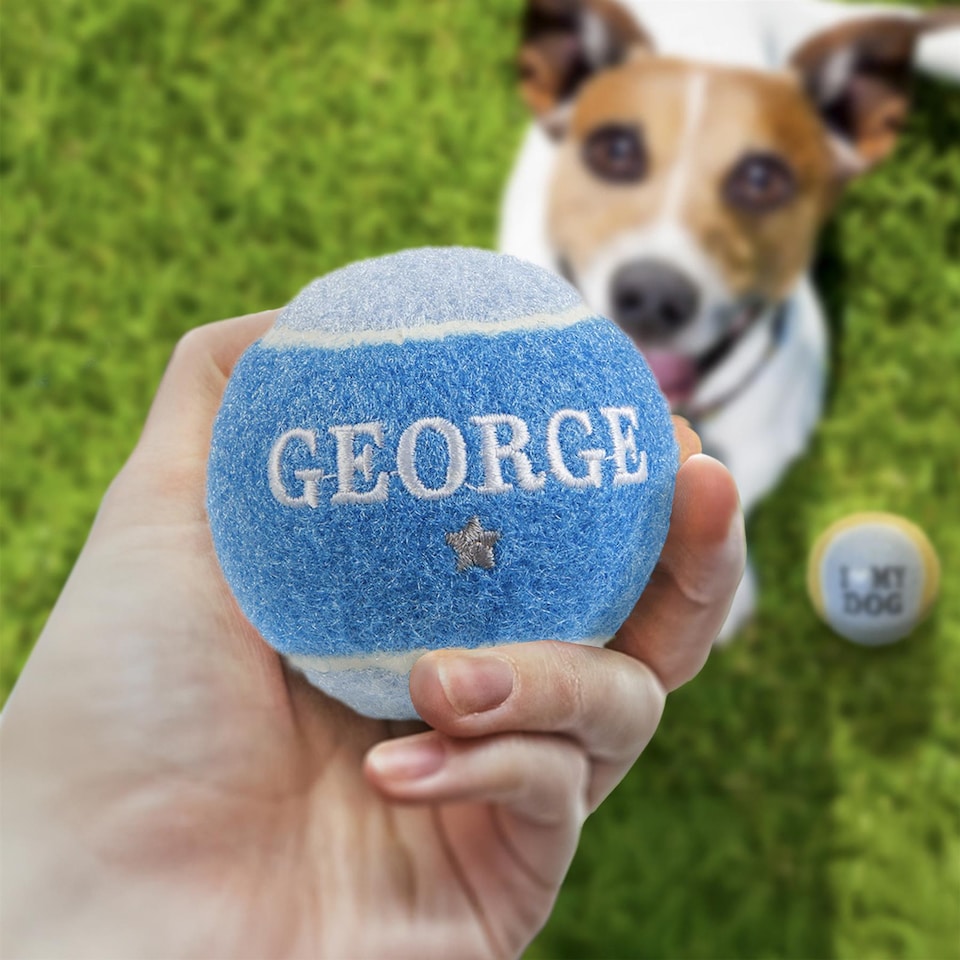 image 1 of Pre-Personalised Dog Ball Gift Pack 2pcs Blue George