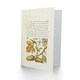 image 2 of Model Book of Calligraphy Art Card Daffodil Flower and Oak Acorns
